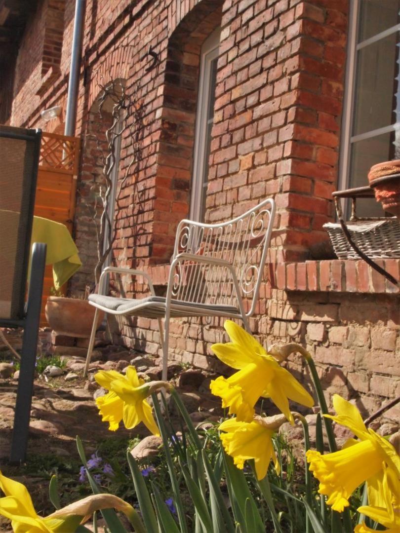 Neu Fewo Im Bauernhaus Mit Idyllischem Innenhof Und Naturgarten Mesekenhagen المظهر الخارجي الصورة